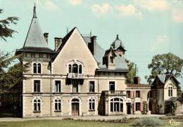 CPSM  VIVONNE     Le Chateau Des Varennes - Vivonne