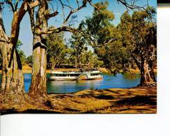 (750) Australia - VIC - Paddle Steamer On Murray River - Sonstige & Ohne Zuordnung