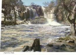 (177) Australia - VIC - Hamilton Nigretta Falls - Andere & Zonder Classificatie