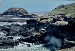 (177) Australia - VIC - Philip Island Blowhole - Autres & Non Classés