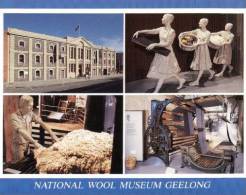 (415) Australia - VIC - Geelong Wool Museum - Geelong