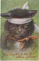 Arthur Thiele Artist Signed Black Cat 'You Ought To See The Other Fellow', 1900s/10 Vintage Postcard - Thiele, Arthur