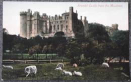 CPA ROYAUME UNI ANGLETERRE ARUNDEL CASTLE FROM THE MEADOWS Non Ecrite Superbe - Arundel