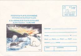 BERA,OURS,WALE,BALEINE,1996,COVER STATIONERY,ENTIER POSTAL,UNUSED,ROMANIA - Orsi