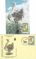 DROPIA,OTIS TARDA,1995, SPECIAL COVER+CM,MAXI CARD,CARTES MAXIMUM,ROMANIA - Hühnervögel & Fasanen