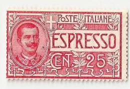 Italy, Year 1903, SG E73, Mi 85, Express Letter Stamp, MNH** - Express Mail