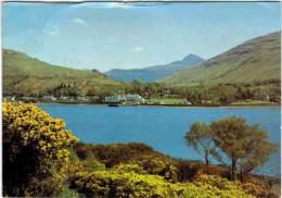 Royaume-Uni -   Arrochar - Loch Long - Dunbartonshire