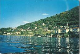 San Nazzaro Gambarogno - Vom See Aus Gesehen           Ca. 1970 - Gambarogno