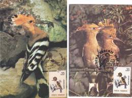 BIRD,HOOPOE,TIMBER ON DIFRENT PAPER,CM,CARTE MAXIM,MAXIM CARD,1995,ROMANIA - Piciformes (pájaros Carpinteros)