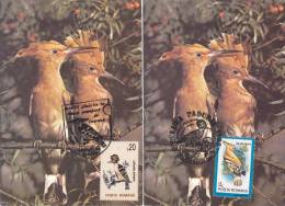 BIRD,HOOPOE,X2,DIFERENT STAMPS,CM,CARTE MAXIM,MAXIM CARD,1995,ROMANIA - Climbing Birds