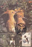 BIRD,HOOPOE,,CM,CARTE MAXIM,MAXIM CARD,1995,ROMANIA - Spechten En Klimvogels