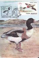 BIRDS,EXPOSITION PHILATELIC,CM,MAXI CARD,CARTES MAXIMUM,1993,ROMANIA - Storks & Long-legged Wading Birds
