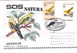 BIRDS,CM,CARTE MAXIM,MAXI CARD,1995,ROMANIA - Cigognes & échassiers