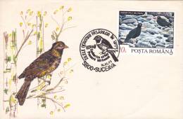 BIRDS,CM,CARTE MAXIM,MAXI CARD,1993,ROMANIA - Ooievaars