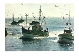 Cp, Bateaux, Voila Que Le Soleil Se Couche, Nous Avons Beaucoup De Poissons, Voyagée 1989 - Visvangst