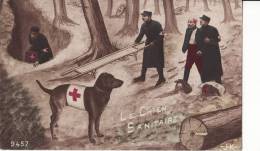 Militaires De La CROIX-ROUGE Avec Civière Et  CHIEN Sanitaire - Croce Rossa