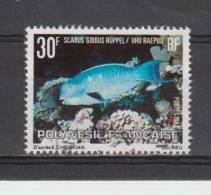 Polynésie Française YT 174 Obl : Poisson , Scarus Gibbus - 1982 - Used Stamps