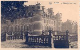 BELGIQUE - BELGIE -WALLONIE - HAINAUT - BELOEIL - Château - Vu Dans Le Parc - Beloeil