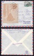 NOUVELLE CALEDONIE - KOUMAC  /  1968  - # 336 SUR LETTRE AVION POUR PARIS (ref 2100) - Covers & Documents