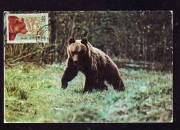 BEAR,OURS,1985,C.M,MAXI CARD,CARTES MAXIMUM,ROMANIA - Orsi