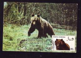 BEAR,OURS,1976,C.M,MAXI CARD,CARTES MAXIMUM,ROMANIA - Orsi