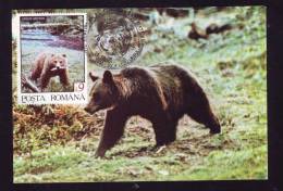 BEAR,OURS,1995,C.M,MAXI CARD,CARTES MAXIMUM,ROMANIA - Orsi