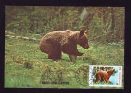 BEAR,OURS,1987,C.M,MAXI CARD,CARTES MAXIMUM,ROMANIA - Ours