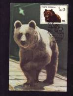 BEAR,OURS,1981,C.M,MAXI CARD,CARTES MAXIMUM,ROMANIA - Bears