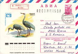 BIRDS,1978,ENTIER POSTAL,RUSSIA - Ooievaars