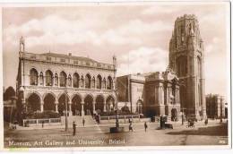 Bristol Museum Art Gallery And University  316 - Bristol