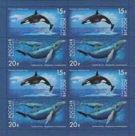 2012 RUSSIA Fauna. Whales. Sheetlet Of 8 (4 Pairs) - Blocs & Feuillets