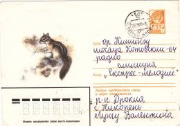 SQUARELL/RONGEURS,COVER STATIONARY,ENTIER POSTAL,ROMANIA - Rodents