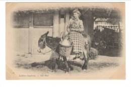 Laitière Cauchoise ( Sur Un Ane)- (Pays De Caux - Normandie) - Campesinos