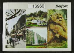 Belfort Multivues - Belfort – Le Lion