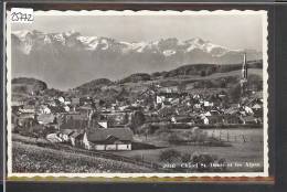 CHATEL SAINT DENIS  - TB - Châtel-Saint-Denis