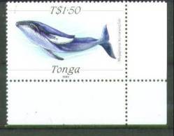 Tonga. Whale. 1989. MNH Single Stamp From Set.  SCV = 14.50 - Wale