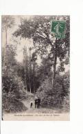 Carte 1910 NEAUPHLE LE CHATEAU / UN COIN DU BOIS DE VILLIERS - Neauphle Le Chateau