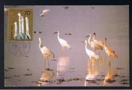 RB 888 - China 1986 Maximum Postcard - White Crane - Birds Animal Theme - Cartoline Maximum