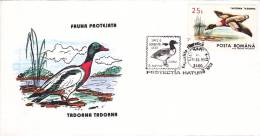 TAUX,RATE,TADORNA TADORNA,BIRD,1993,SPECIAL COVER,OBLITERATION CONCORDANTE,ROMANIA - Hoendervogels & Fazanten