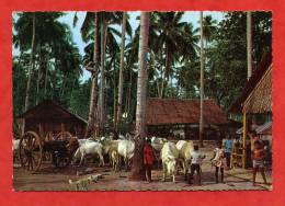 * MALAYSIA-Cows Flocking Their Shed In The Rural Area...(Carte Voyagée 2 Timbres)-Enfants,Boeufs,chien - Malaysia