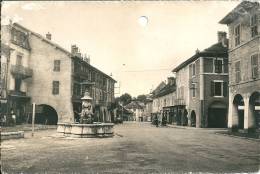 74  RUMILLY - La   Fontaine Et La Place De  L,Hotel De Ville   ( Tachée,1 Trou   ) - Rumilly