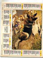 Calendrier  G-F  Du  Rhone  1982 - Formato Grande : 1981-90