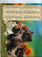 Calendrier  G-F  De La Savoie  73 - Groot Formaat: 1981-90