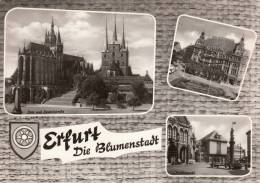 BR16429 Erfurt Die Blumenstadt    2  Scans - Erfurt