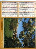 Calendrier  G-F  Des  Pyrenées-Atlantique  64 De 1985 - Groot Formaat: 1981-90