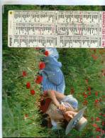 Calendrier  G-F  Des  Postes De Haute-Savoie  74 De 1987 - Big : 1981-90