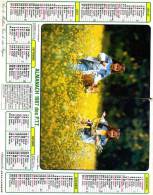 Calendrier  G-F  Des  Postes De Savoie  73 De 1987 - Big : 1981-90