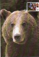 Romania / MAXI CARD / OURS - Bears