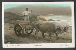 SPAIN  TIPOS VASCOS , CARRO  VASCO , OLD POSTCARD - Other & Unclassified