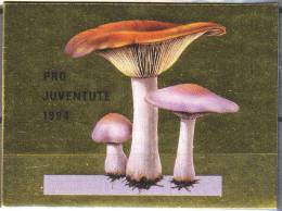 PRO JUVENTUTE 1994 Neuf ** SBK 20,- CHF Botanique Champignon - Postzegelboekjes
